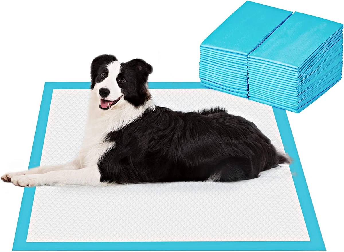Puppy training pads best sale ebay