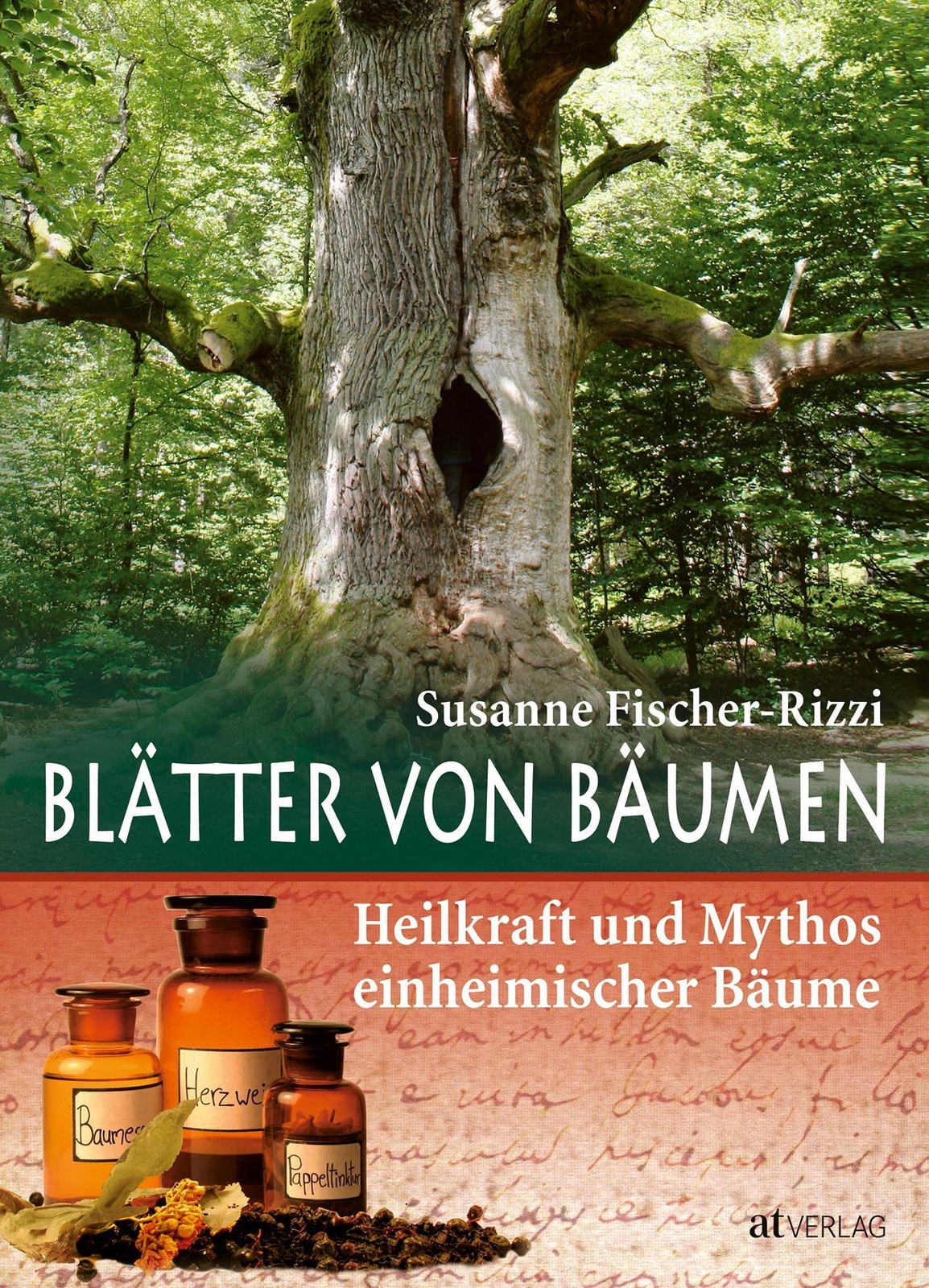 Thumbnail - Blätter Von Bäumen Heilkraft Und Mythos Einheimischer Bäume