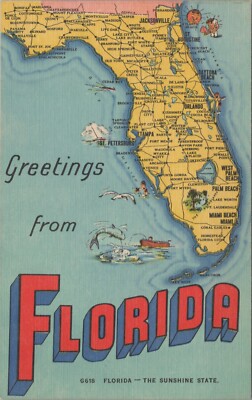 c1950s Greetings from Florida map fishing seagull linen postcard D288