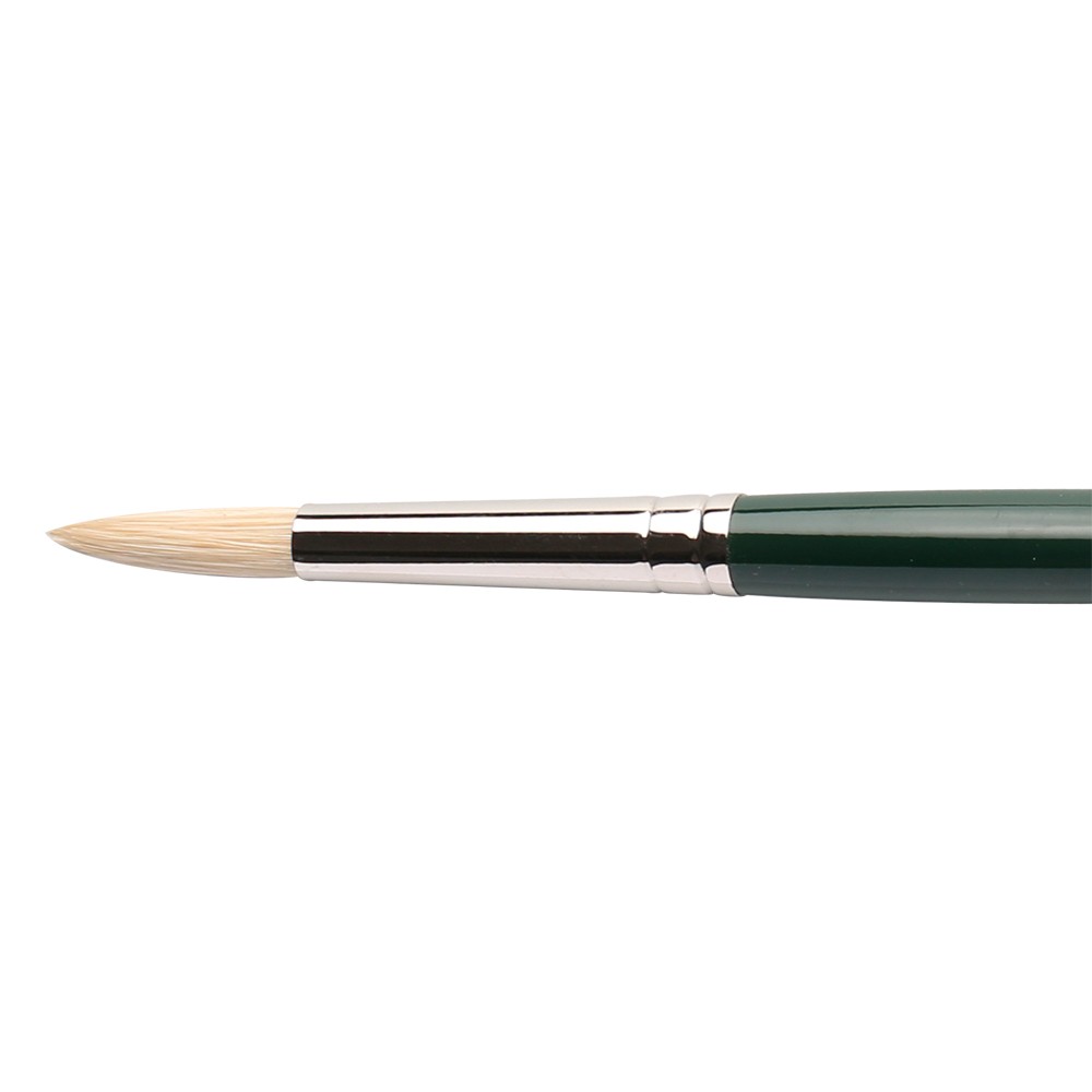 Winsor & Newton : Winton Brush : Round : No 6