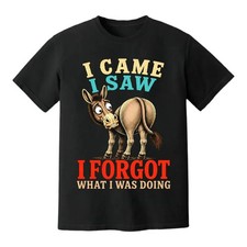 I Came I Saw I Forgot What I Was Doing Funny ...