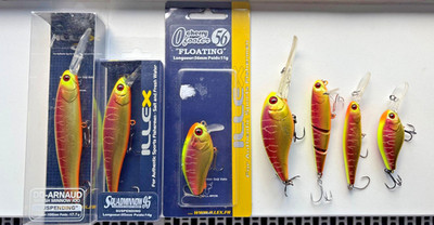 ILLEX VISIBLE SPAWNING TIGER Squirrel 67 Hamakuru Arnaud Squadminnow Wobbler Set