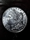 1881 S    Morgan Dollar    Beautiful Dollars   CH BU+/GEM  start $.99