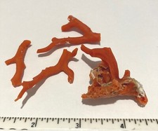 Rare 4 Natural Red Mediterranean Coral Branches, 20.0 grams