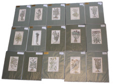 Salmon Herbal 1702 Original Woodcut Print Mounted Flowers and Plants