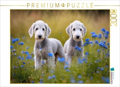 CALVENDO Puzzle Bedlington Terrier Welpen | 2000 Teile Lege-Größe 90x67cm Foto-P