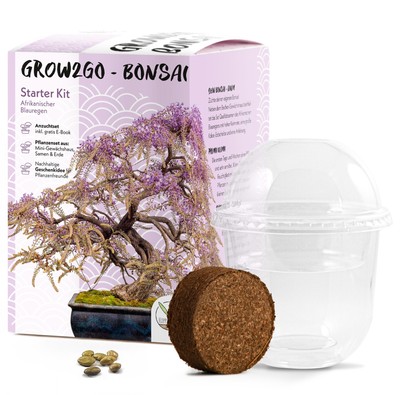 GROW2GO Bonsai Starter Kit inkl. GRATIS eBook - Afrikanischer Blauregen