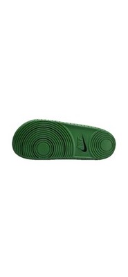 Nike Oregon Ducks Men display picture 1