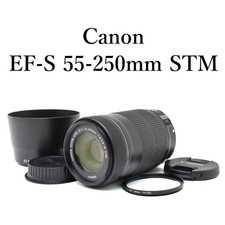 Canon EF-S 55-250mm f/4-5.6 IS STM Telephoto Zoom Lens with Caps and Hood