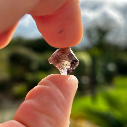 Axinite Specimen Natural Rough Pieces gemstone Gem grade 20 carat USA EO-846 - Picture 5 of 6