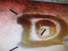 1950-D LINCOLN CENT RPM #4 D OVER D VARIETY BU FROM ORIGINAL ROLL   BB
