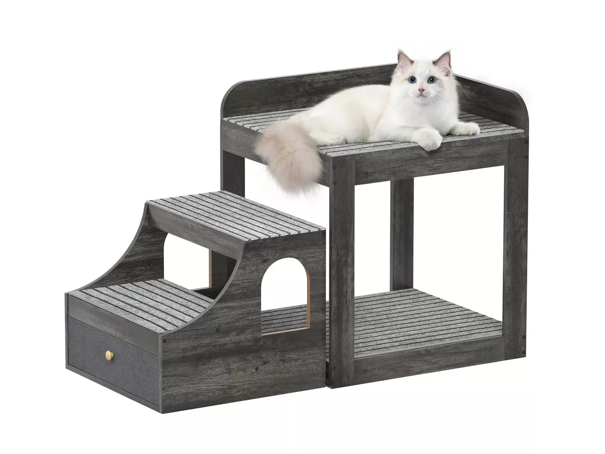 Dog top window perch