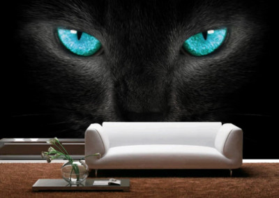 3D Blue Eyes Wolf ZHUA18947 Wallpaper Wall Murals Removable Self-adhesive Ann 24