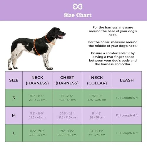 Dog Harness and Leash Set |  No Pull Dog Harness and Waterproof Medium Lilac