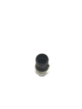 Ampoule Renault AVANTIME