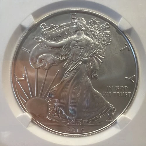 2015-W 1 oz Silver American Eagle Burnished - NGC MS 70 - 030157
