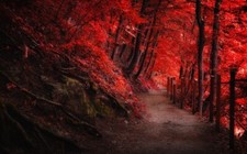 Landscape nature fall red path fence forest trees Custom Gaming Mat Desk
