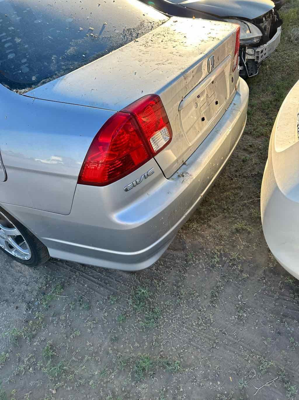 Zdjęcie 2 z 16