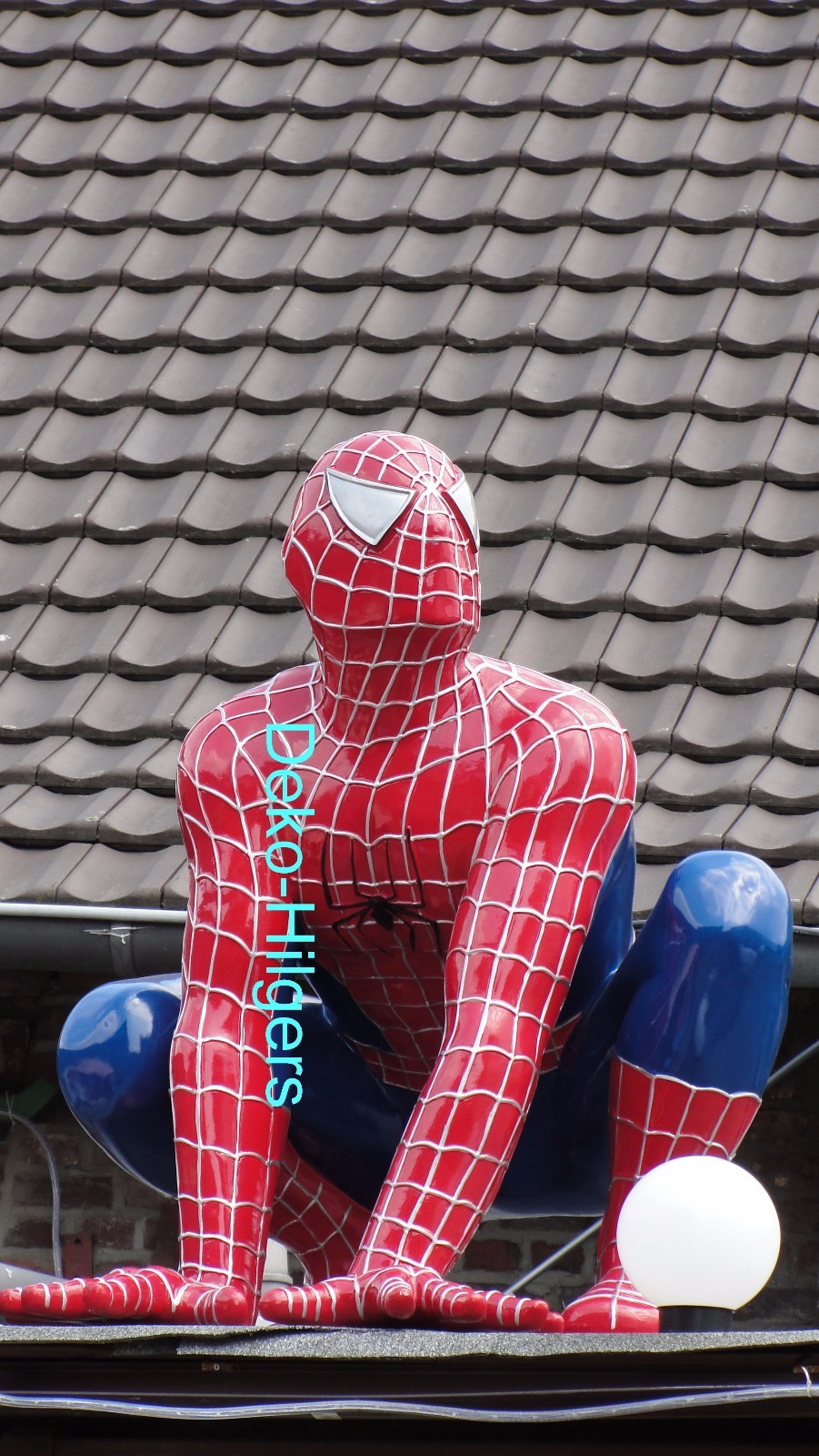 Bild 1 von 10