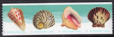 US NH 2017 SHELLS 5167-70 Coil Strip of 4 in SCOTT ORDER - Free Ship ...