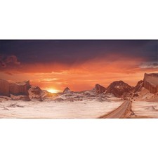 AWERT 48x18 inches Sun and Desert Terrarium Background Orange Reptile Habitat...