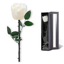 White Preserved Roses Prime Delivery Real Rose Gifts Women Mom Birthday