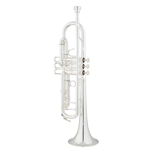 Rare] KingTone THE DUELLIST SILVER 5th anniversary model | eBay