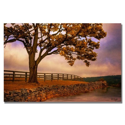 Trademark Art Lois Bryan Canvas Artwork, Leading Line, 22 by 32-Inch