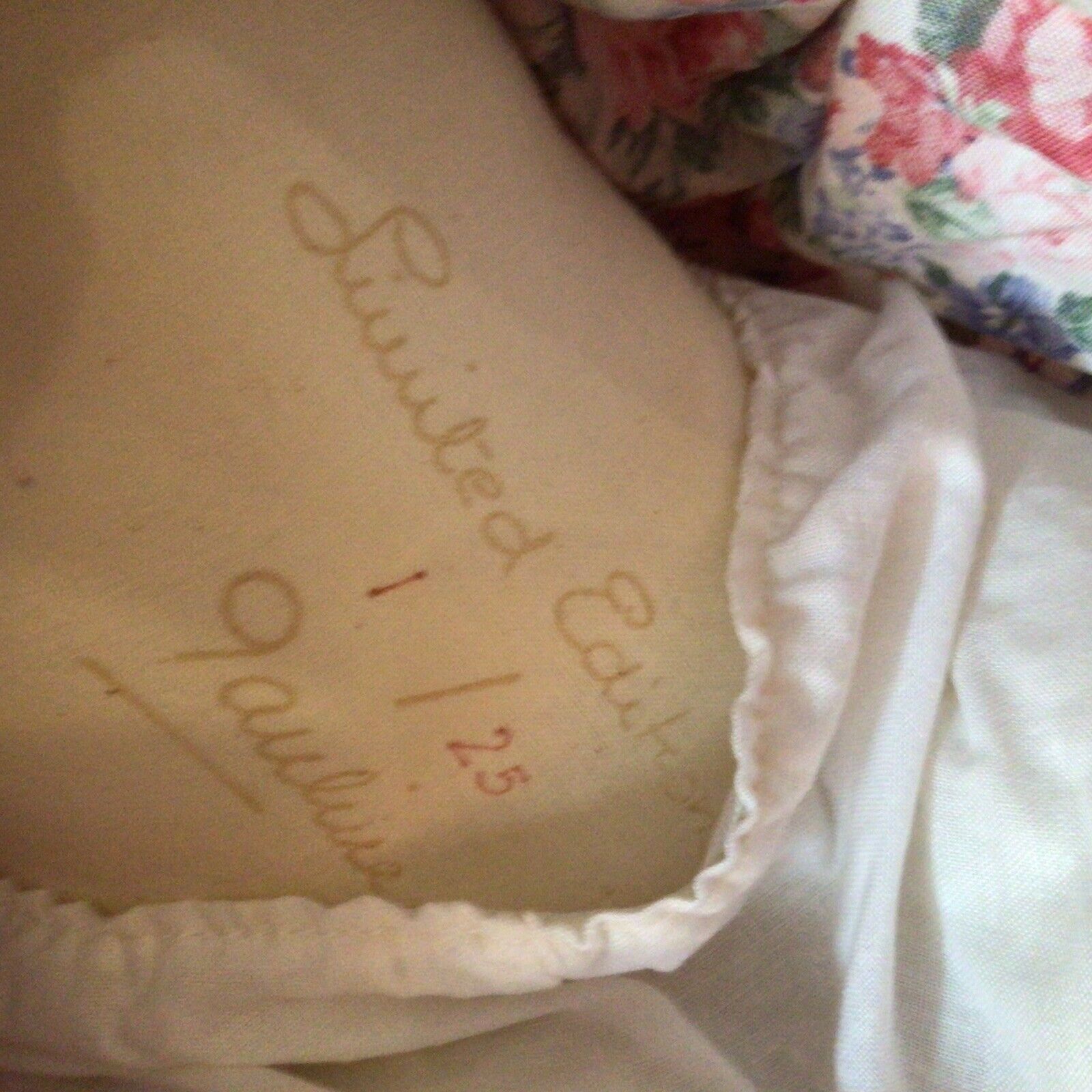 Picture 4 of 21