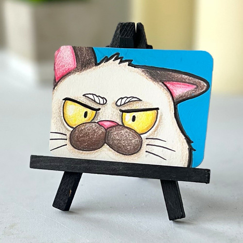ACEO original “Angry Cat” Disney Luca mixed media  Signed Shara Brathwaite