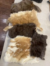 Natural Rabbit Fur Skin Various Sizes and Colors Lot of 5