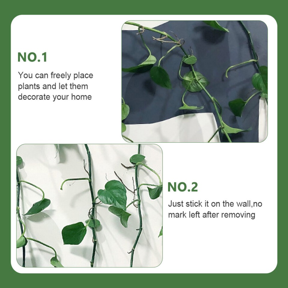 40 PCS Plant Climbing Wall Fixture Hook Vine Clips Holder eBay