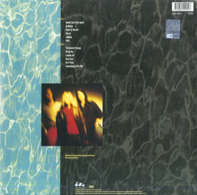 Nirvana Nevermind Vinyl LP New And Sealed | eBay