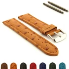 Genuine Ostrich Leather Skin Watch Strap Band SS Buckle 18 20 22 24 Amsterdam MM