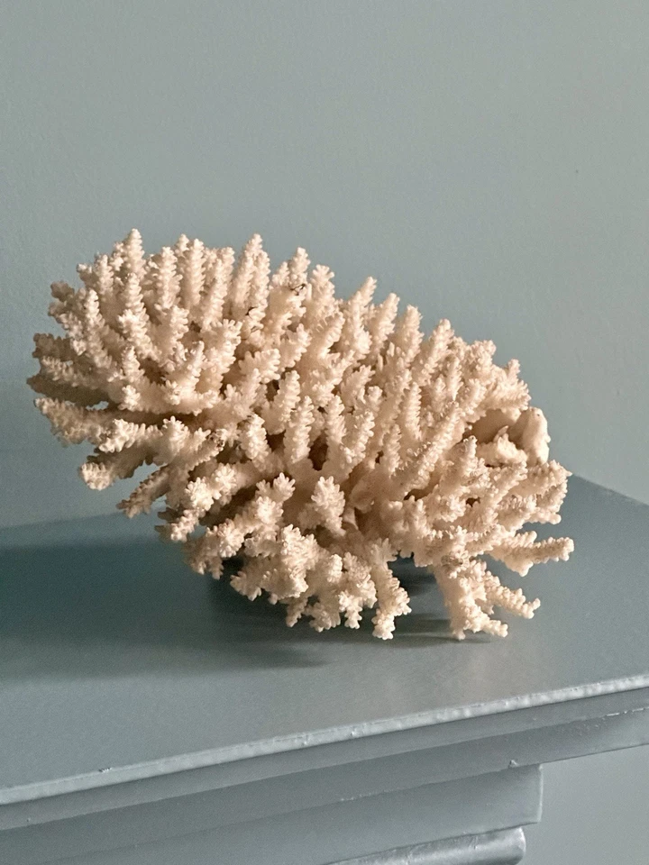 Large Vintage Coral Piece - Image 2 of 4