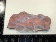 Killer Palm Jasper / Sagenite Slab - 189g - Old Collection from 1960s