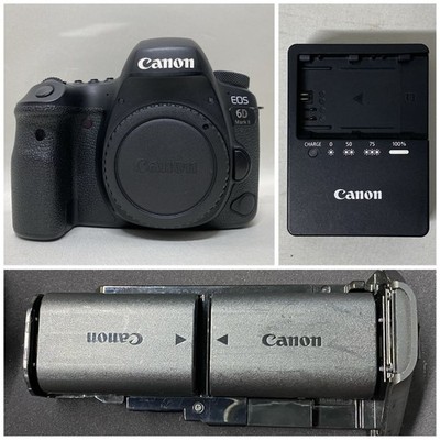 Canon EOS 6D Mark II Body Charger Battery Grip Set Used Condition