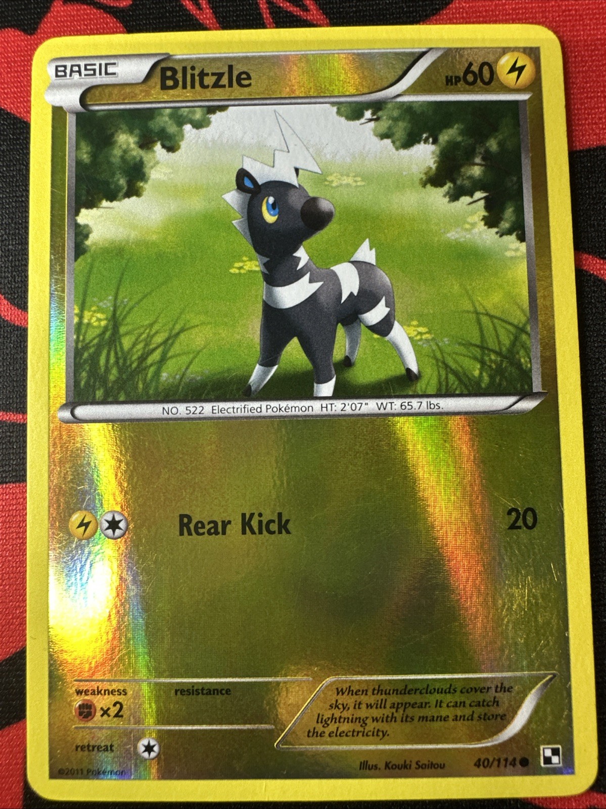 Blitzle 40/114 Black & White Base Set 2011 Reverse Holo LP Pokemon Card TCG