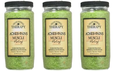 BL Village Nat. Aches + Pains Muscle Mineral Bath Soak 20oz X 3 Counts