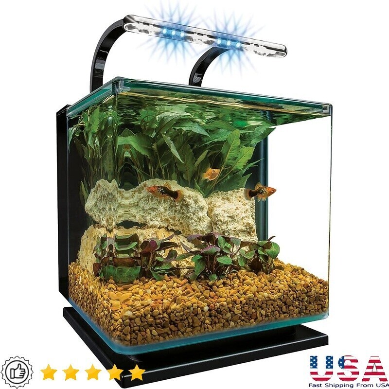 Sleek 3-Gallon Aquarium Kit with LED Lighting and Hidden Filtration for Easy Maintenance