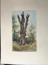 Franz Ehmke 1928-2018 DDR Painter Old Dead Tree Dead Wood Forest Pastel