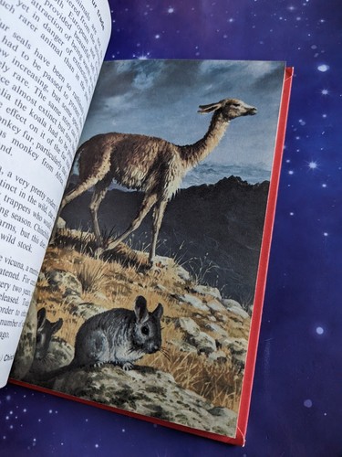 Disappearing Mammals Conservation Series 727 Ladybird Vintage Childrens Book - Picture 5 of 7
