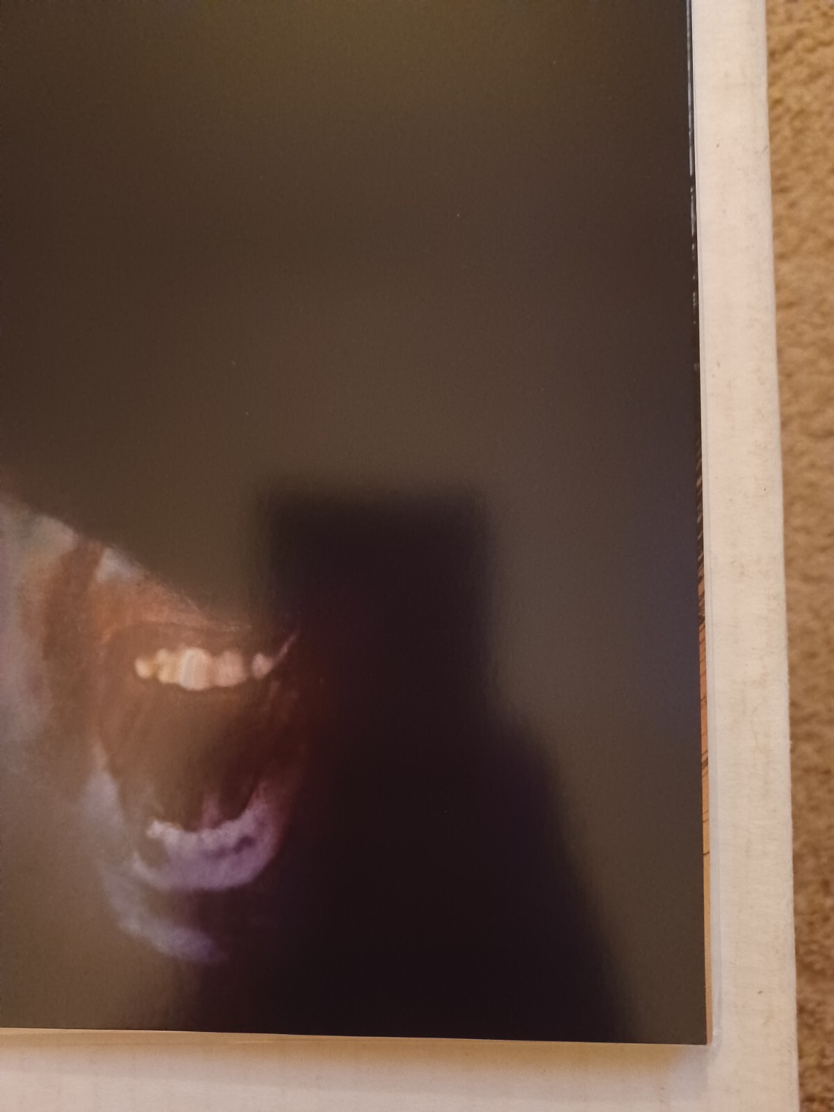 Picture 5 of 10