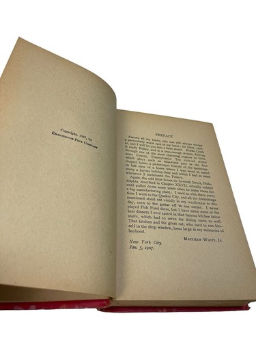 Vintage 1907 Zwei Jungen und ein Vermögen oder Tyler Will Matthew White Jr Buch HC - Bild 10 von 10