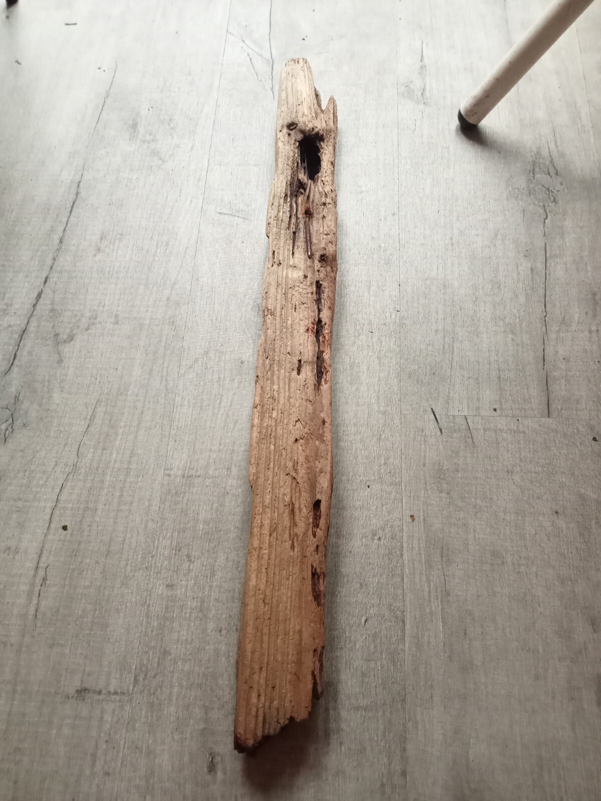 Driftwood Piece eBay