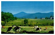 Postcard FARM SCENE Rutland Vermont VT o/19 AR9690