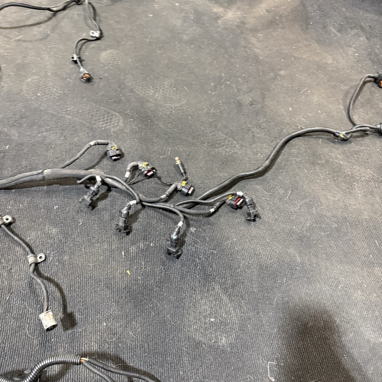 04-08 Maserati Quattroporte Engine Wiring Harness M139 F136