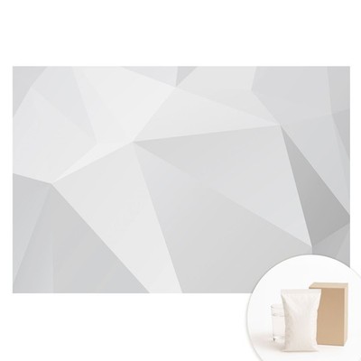Wall Mural Easy Install Bedroom Decor Gray Geometric Forms Elegance Modernity