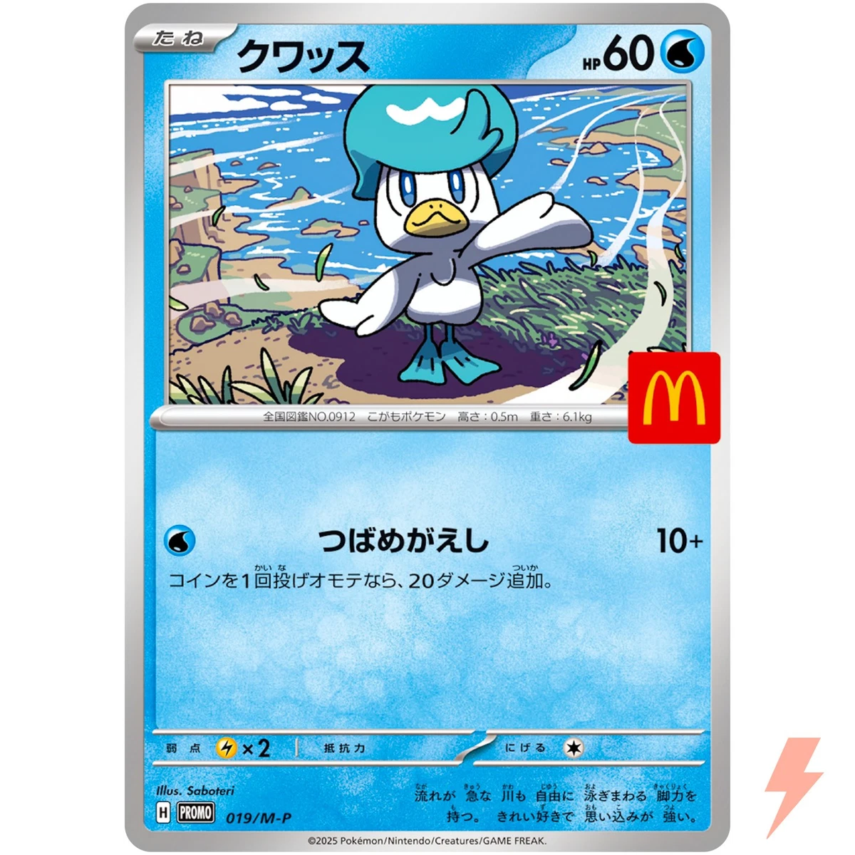 basic quaxly pokemon card TCG: Paldea Friends Mini Tin holofoil pattern or surface detail) Quaxly | Pokémon Cards and