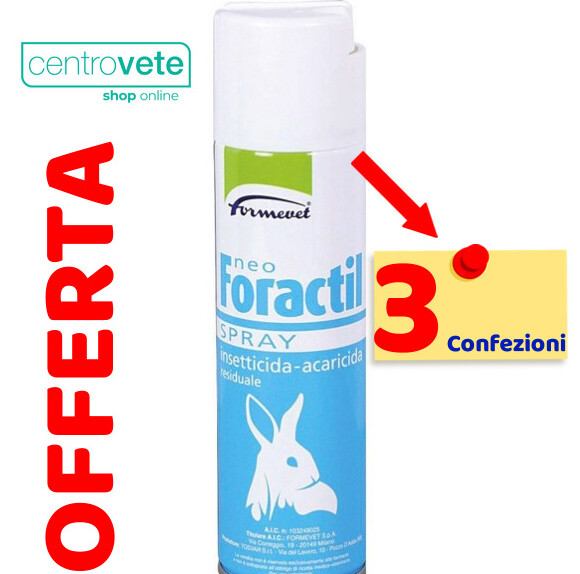Foto 4 di 5